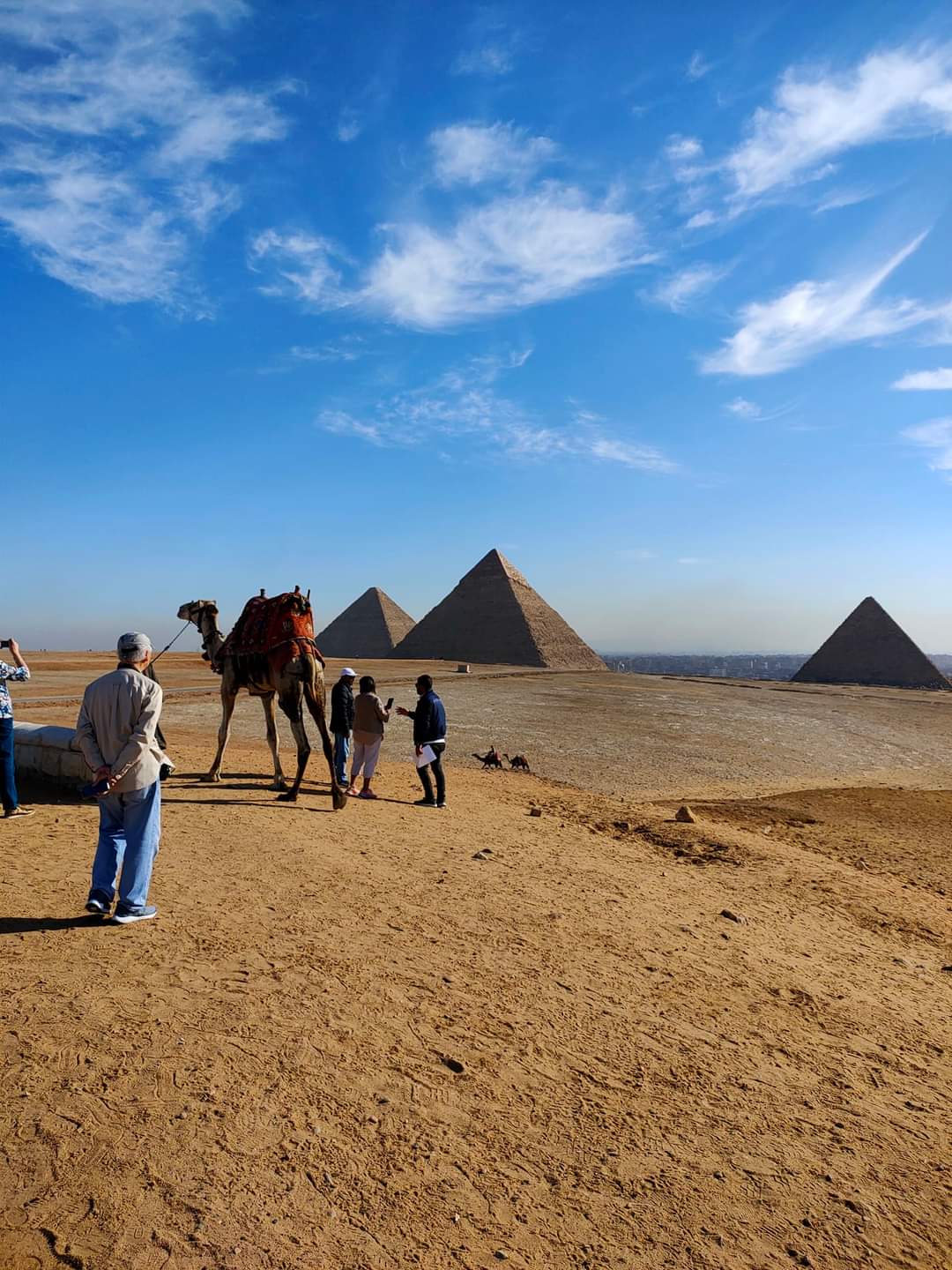 Full-Day Tour Program in Giza