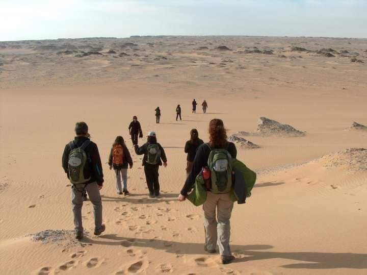 Desert Walking Tours