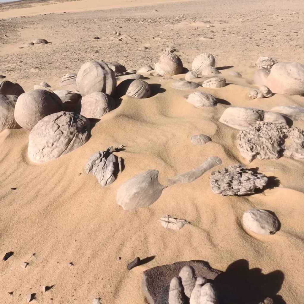 Watermelon Vallry Formation